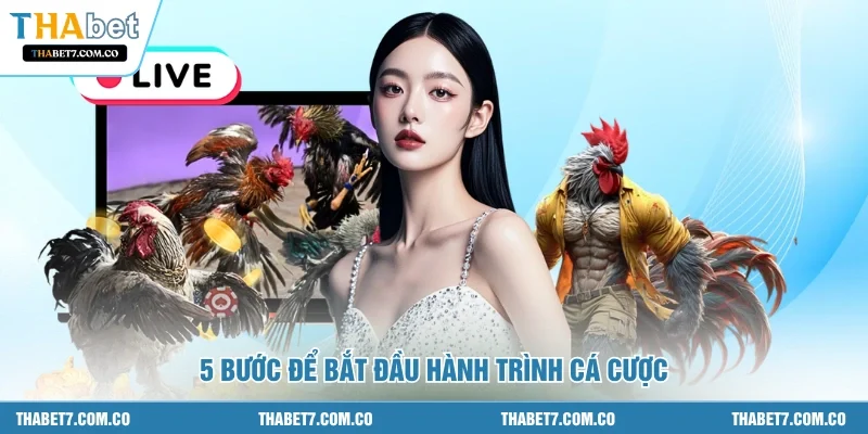 5 Bước để bắt đầu hành trình cá cược