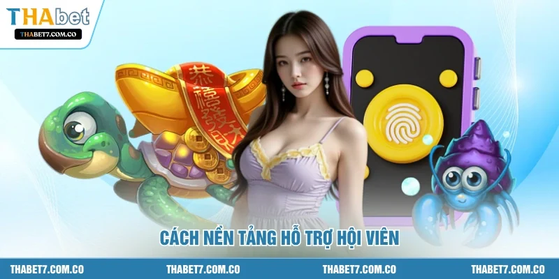 Cách nền tảng hỗ trợ hội viên
