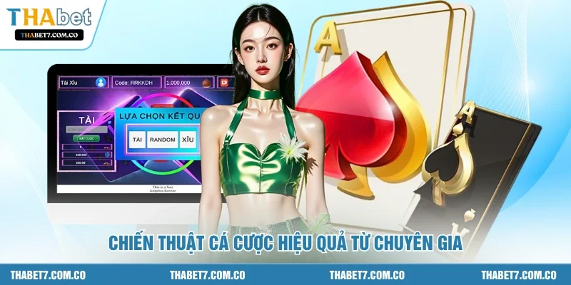 Chiến thuật cá cược hiệu quả từ chuyên gia