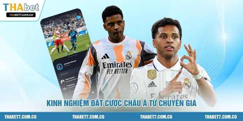 Kinh nghiệm đặt cược châu Á từ chuyên gia